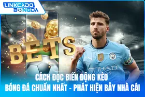 Cách Đọc Biến Động Kèo Bóng Đá Chuẩn Nhất – Phát Hiện Bẫy Nhà Cái