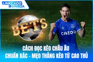 Cách Đọc Kèo Châu Âu Chuẩn Xác – Mẹo Thắng Kèo Từ Cao Thủ