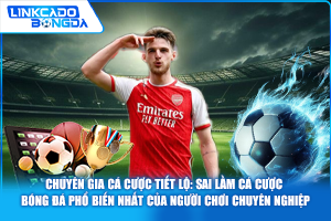 Chuyên gia cá cược tiết lộ: Sai lầm cá cược bóng đá phổ biến nhất của người chơi chuyên nghiệp