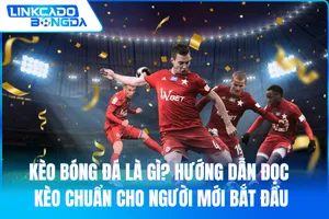 Kèo Bóng Đá Là Gì? Hướng Dẫn Đọc Kèo Chuẩn Cho Người Mới Bắt Đầu