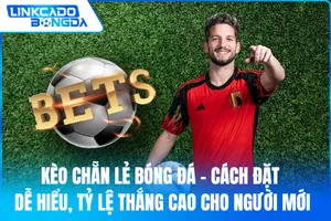 Kèo Chẵn Lẻ Bóng đá – Cách Đặt Dễ Hiểu, Tỷ Lệ Thắng Cao Cho Người Mới