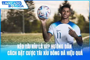 Kèo Tài Xỉu Là Gì? Hướng Dẫn Cách Đặt Cược Tài Xỉu Bóng Đá Hiệu Quả