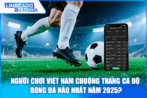 Người chơi Việt Nam chuộng trang cá độ bóng đá nào nhất năm 2025?