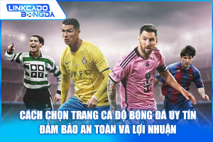 Cách Chọn Trang Cá Độ Bóng Đá Uy Tín – Đảm Bảo An Toàn Và Lợi Nhuận