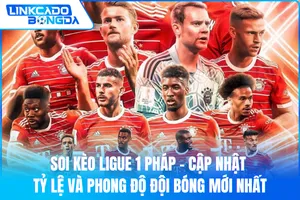 Soi Kèo Ligue 1 Pháp – Cập Nhật Tỷ Lệ Và Phong Độ Đội Bóng Mới Nhất